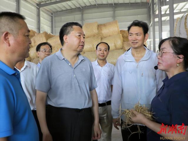 毛万春在岳阳调研