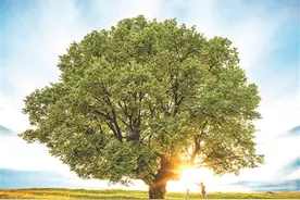 成年人 不要随便和别人建立“因果”图片