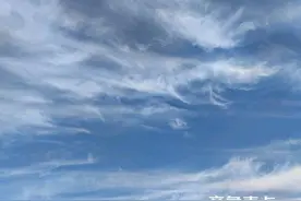我和父亲的战争图片