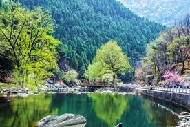 漫游泰山指南丨桃花峪线路带你解锁泰山的不同景色图片