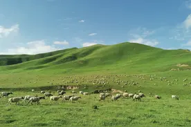 有一种疗愈，在远方——随月光妈妈一起的那场漫长旅行图片