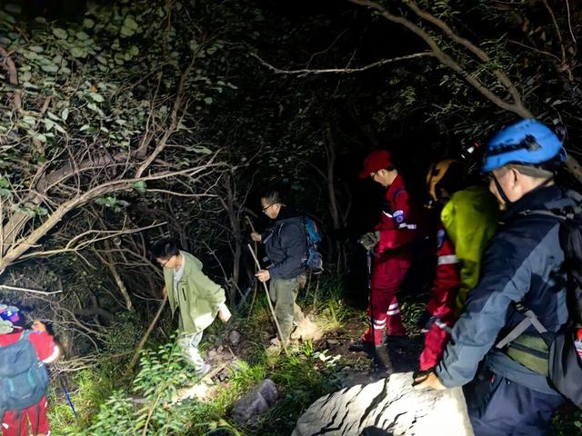 这就是“老家”的宠客之道！河南景区服务力拉满