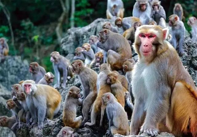 南宁就是冬日旅游天花板！摘果+跑马+演唱会+美景打卡，带你玩转“水果自由”之旅