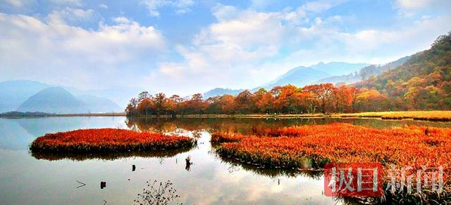解锁“五彩秋韵”和“冰雪狂欢”，神农架秋冬游进入“黄金窗口期”