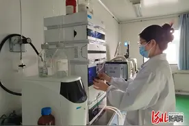 加强中医药传承创新发展一线探访⑤｜深耕酸枣仁研发，让道地药材更“地道”图片