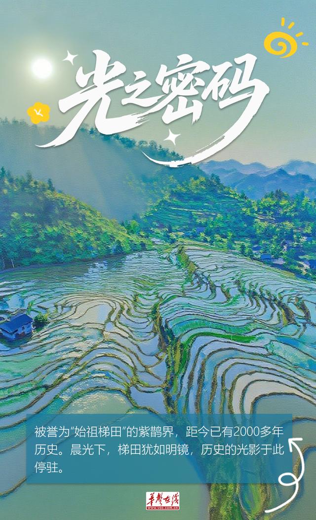 【AI海报】紫鹊界，讲给世界的密语
