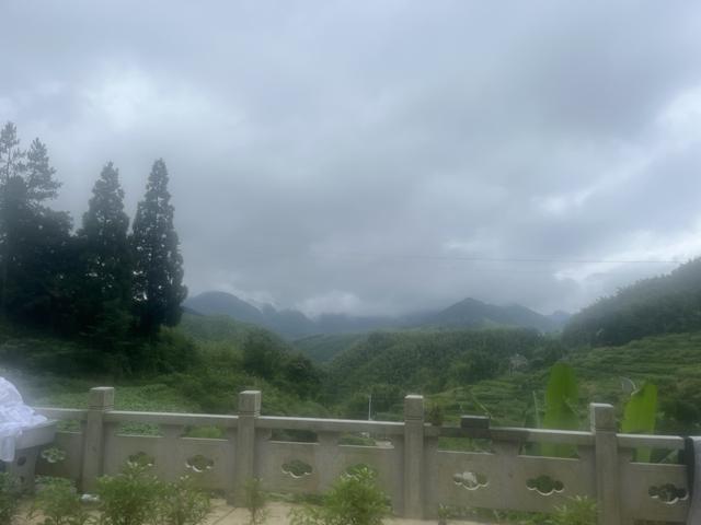 晚潮｜云深不知处