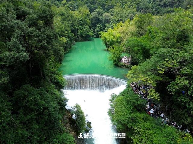 绿宝石上的地心引力｜我在贵州“奔县”系列报道之荔波篇