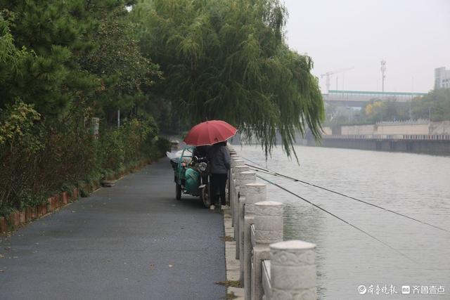 双节拍|雨中宁静的小清河