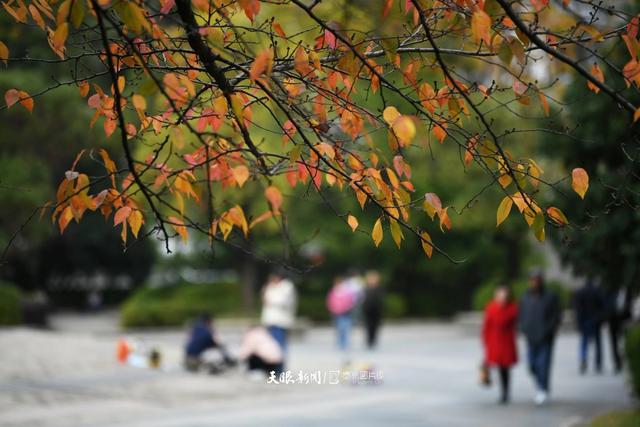 图库推荐丨贵阳：初冬时节好风景