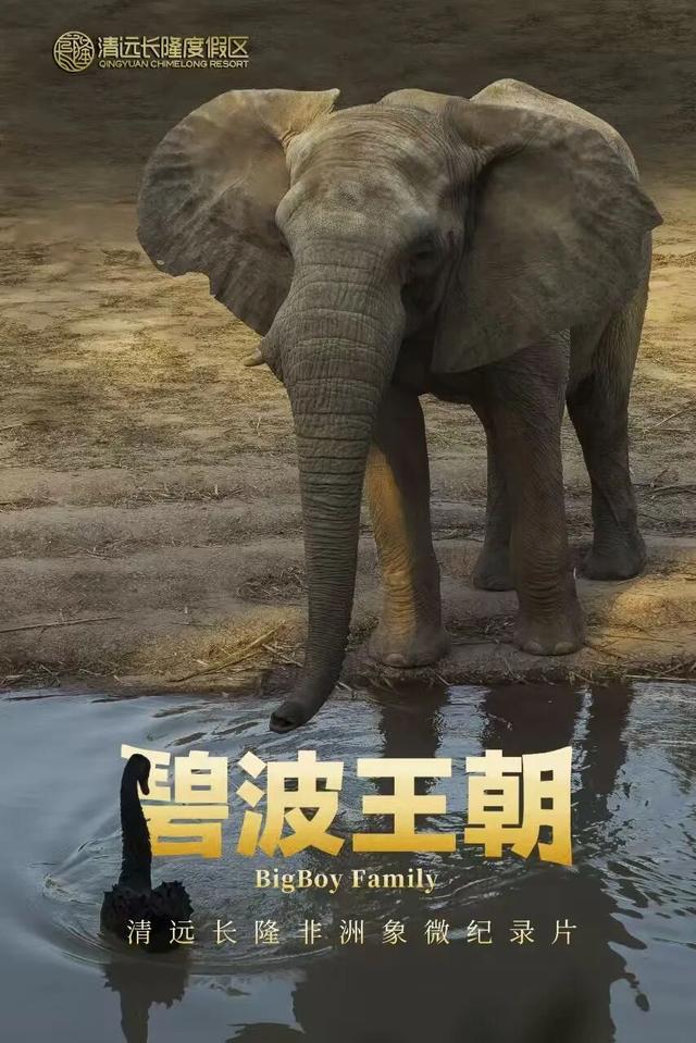 送票！这场活动超有料，体验感拉满
