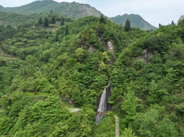 消失的它，又回昭通了