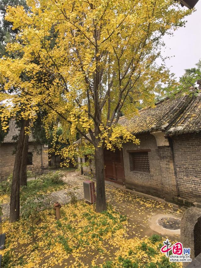 高舜礼：“三苏”墓园的旅游能否加速腾飞？