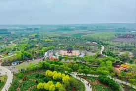 从“只能看”到“可以喝”，青岛“赏花经济”不再“昙花一现”图片