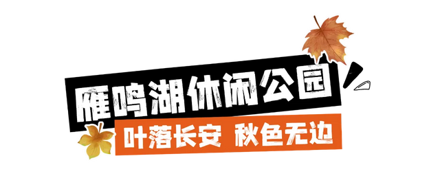 走进西安4大免费开放的宝藏公园