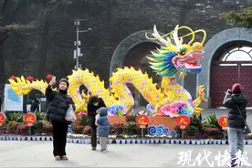 赏花寻龙年味浓，南京玄武湖迎新春游园会来了图片