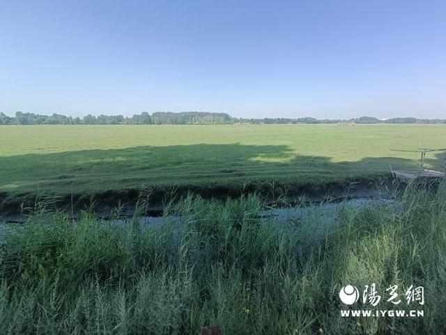 陕西神木：秋日好风光 文旅市场活力足
