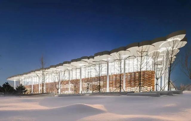 北京下雪了！雪景大片抢先看！外出注意防寒保暖