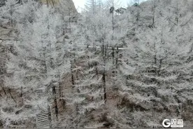 大片来袭！崂山巨峰再现“雾凇”奇观图片