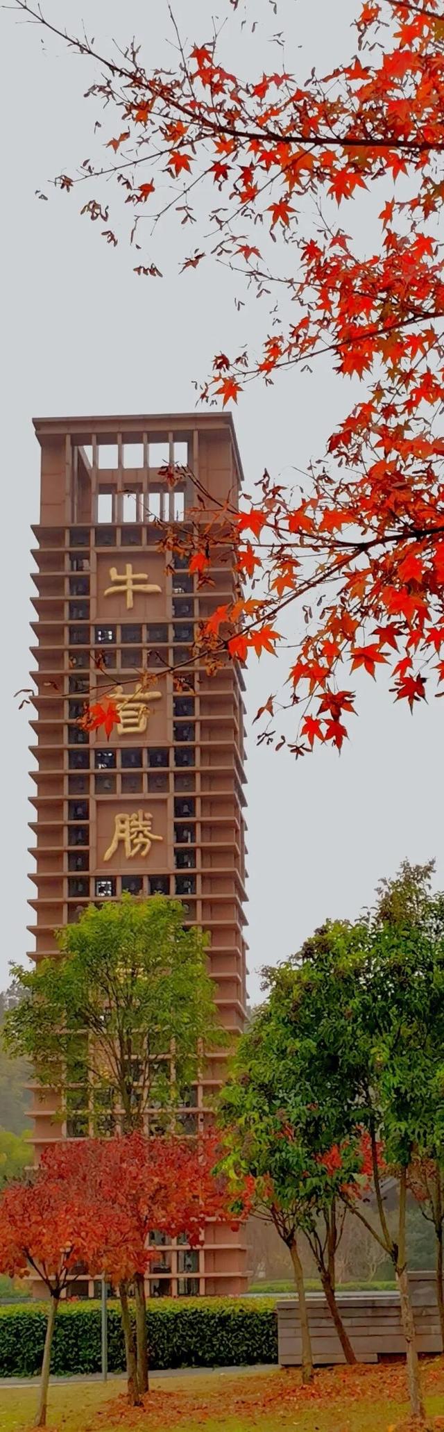 秋景预告快收藏，过些时间就能去打卡