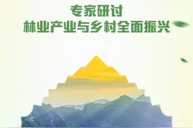 专家研讨林业产业与乡村全面振兴图片
