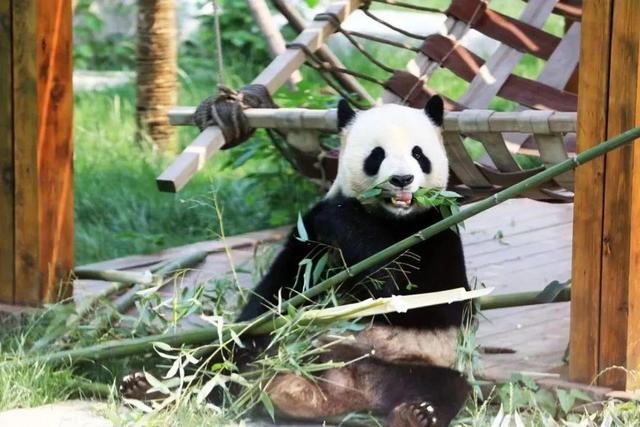 @老师们，节日快乐！请查收您的好客山东专属优惠