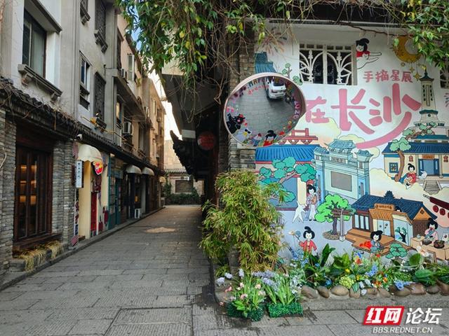 【赴春之约】大隐隐于市，带你走进长沙白果园的静谧深处