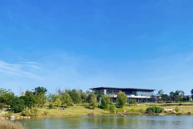 新津人速藏！冬日公园晒太阳的神仙去处