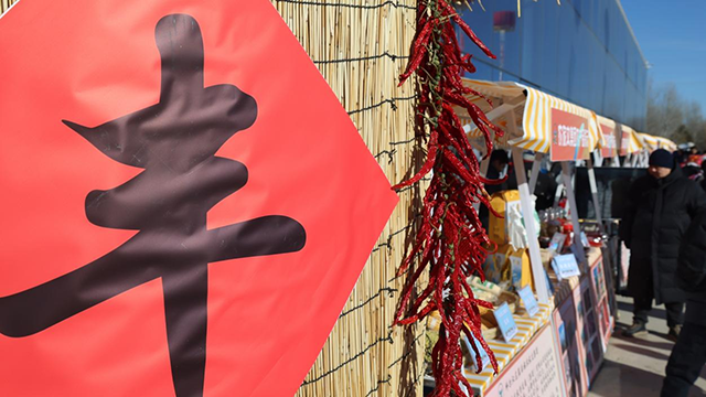 第十二届全国大众冰雪季（通辽站）暨科左后旗冰雪那达慕启幕