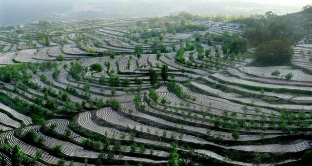 下一站	，延安！