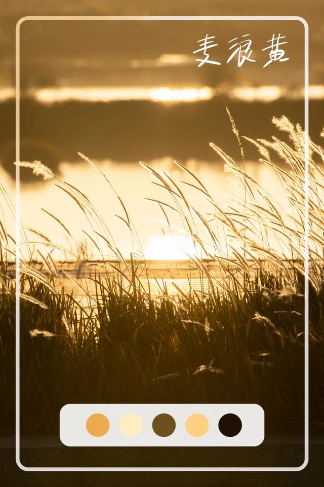 @0731，一组绿心秋色卡，请查收！