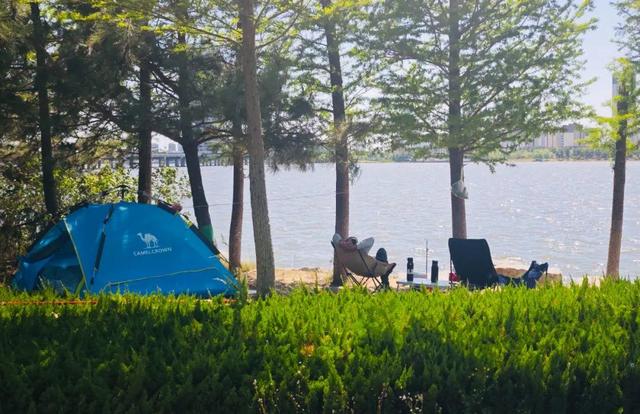 南海露营攻略：邂逅星辰大海 沉醉湿地松林