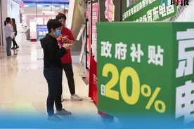 双11“黑幕”：为何你买到的产品要比平时贵？国家补贴被商家套走了 不法企业涉嫌“骗补”“套补”图片