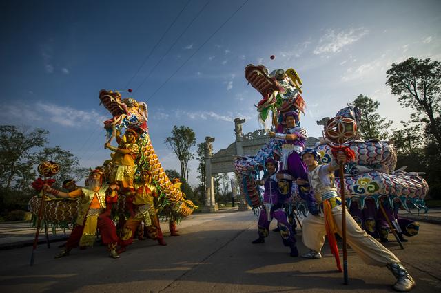 元宵节，中国龙舞“国家队”来泸县了丨全国龙舞“闹”泸县