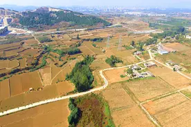 肥城：满载情怀，一条路串起“诗和远方”图片