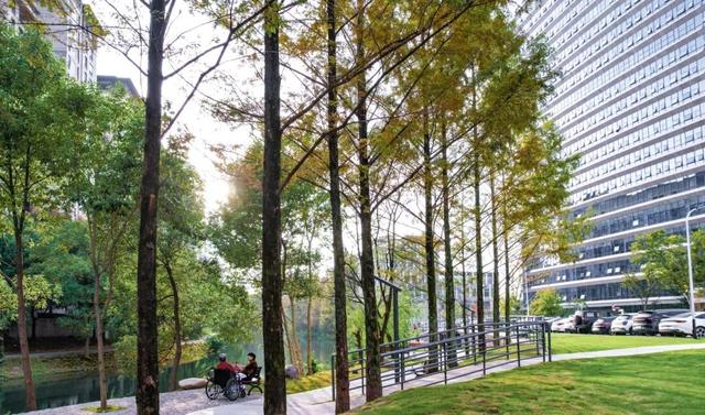 藏在医院里的治愈魔法！莲都又添宝藏休闲地