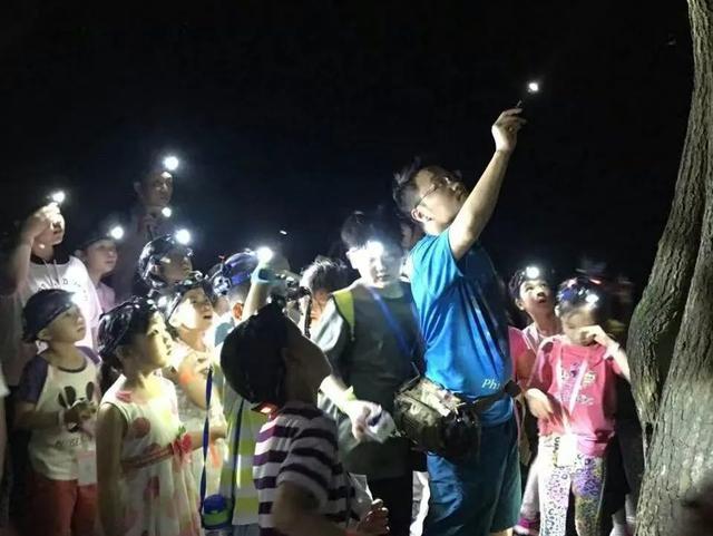 魔都夜游宝藏地打卡 公园里藏着哪些夏夜奇遇？