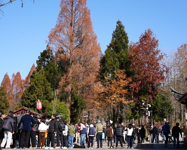 张家界武陵源：暖冬晴好风光美 错峰游览人气旺
