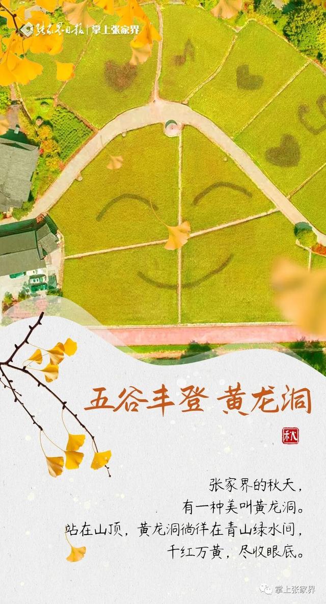 周末去哪玩丨跟着湘超株洲队，领略张家界的秋韵