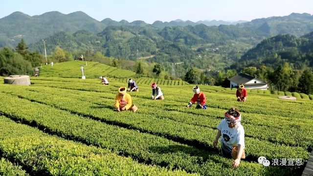 GO GO GO！跟随湖北知音名导游宣恩~