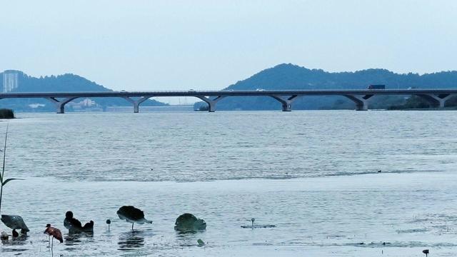江苏溧水：降温了，卧龙湖畔秋景初现