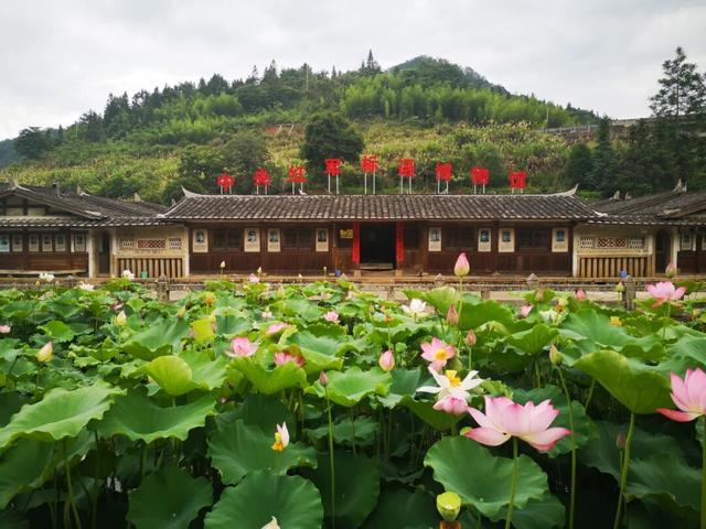 心归永安才叫安！这份永安A级旅游景区游玩指南，藏着你要的诗与远方