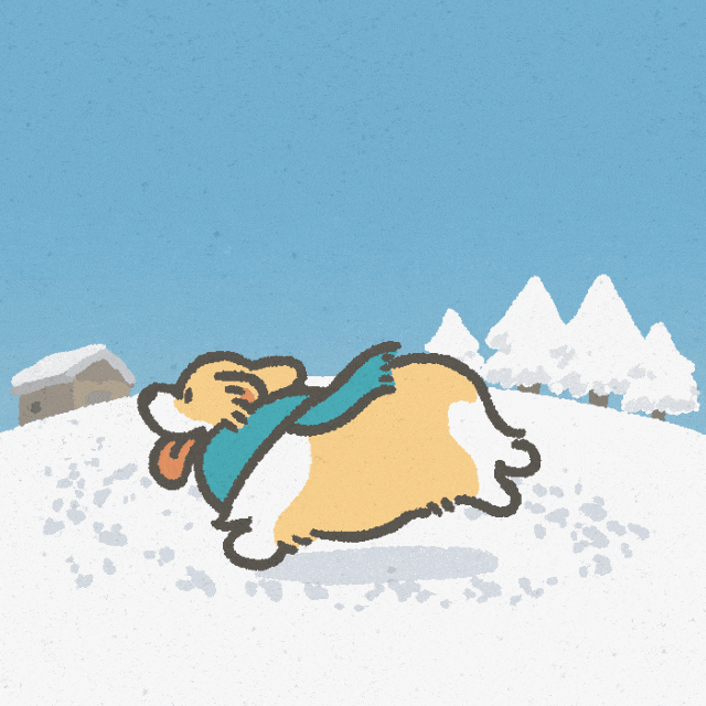 真的下雪啦！瓦屋山初雪突降！彩林+初雪的绝美同框，免门票就能看见！