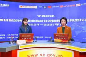 加快制造业智能化改造数字化转型 四川出台行动计划图片
