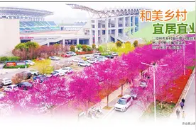 三月花红柳如烟 汝瓷之乡曲剧故里欢迎您图片
