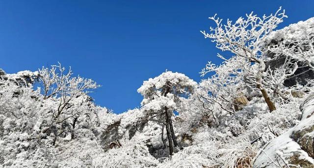 岱宗披霜缟 冰韵醉人间