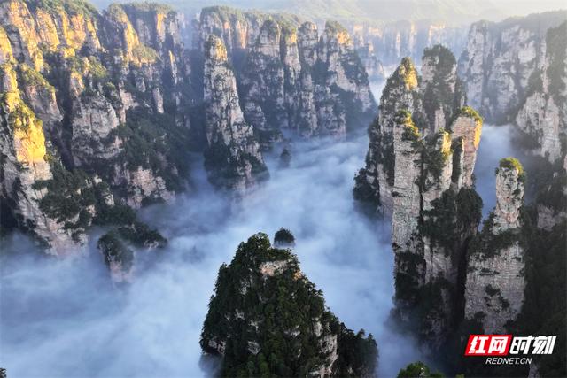 张家界鹞子寨景区：金秋日出云海同框 绘就多彩山水画卷