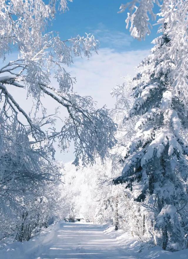 升咖版安图即将上线！N种冬日诗意美景等你打卡