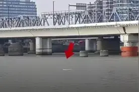 中华白海豚游入广州珠江水域，这3天2夜，TA经历了什么？图片