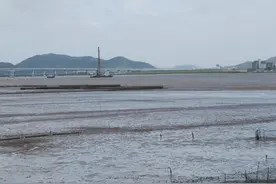 蓝色港湾变“金湾银滩”助推实现共同富裕——宁波梅山湾生态保护修复项目图片